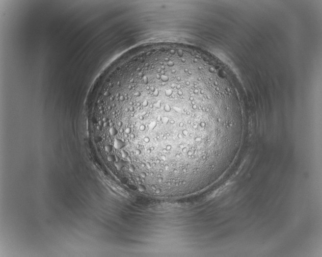 X0000075400925200609251014