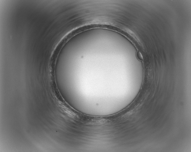 X0000075400926200609251014