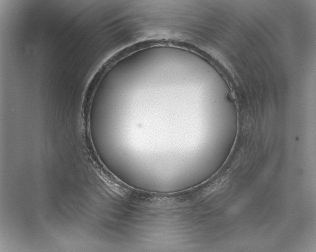 X0000075400927200609251014