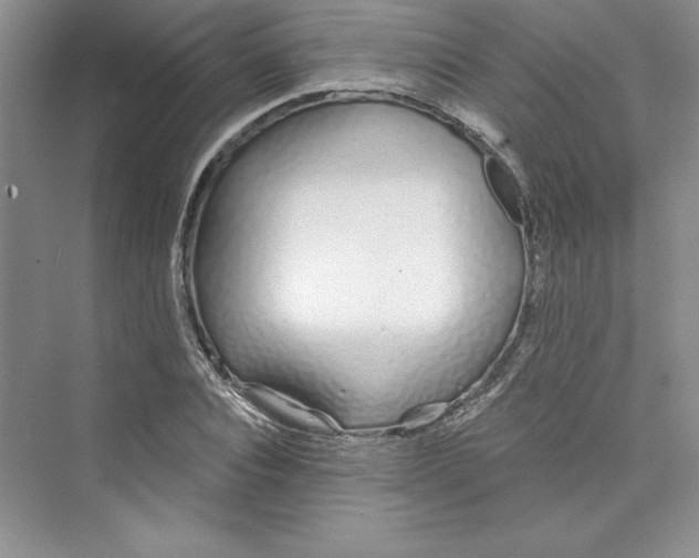 X0000075400928200609251014