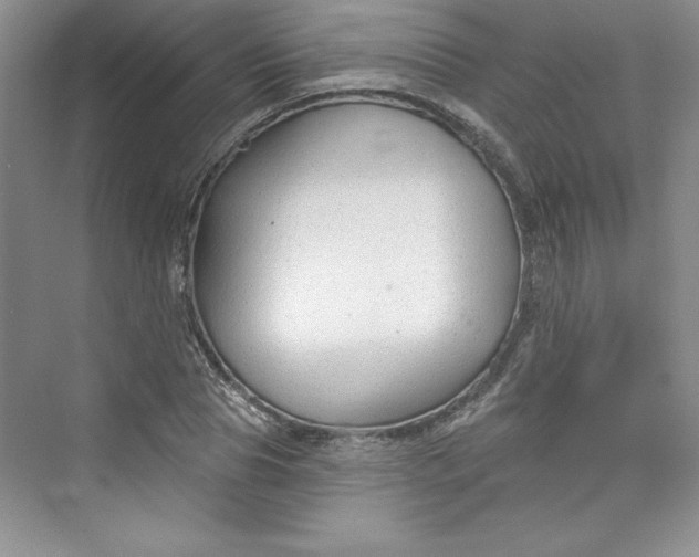 X0000075400929200609251014