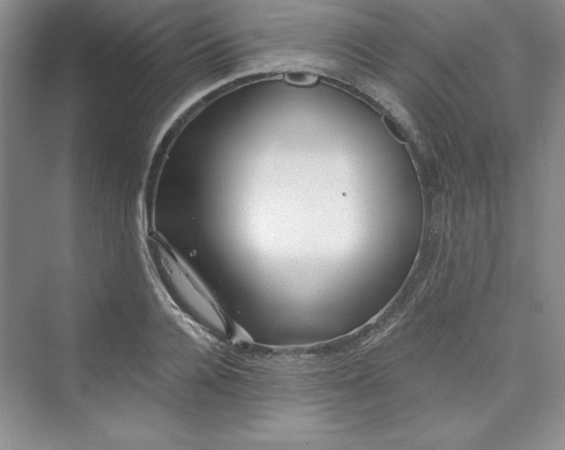 X0000075400936200609251014