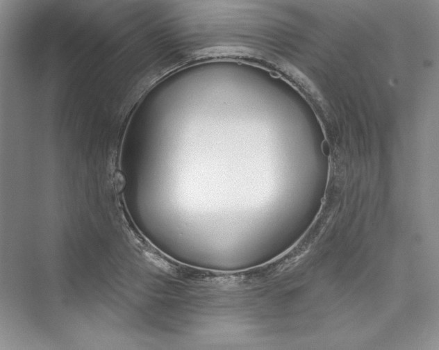 X0000075400937200609251015