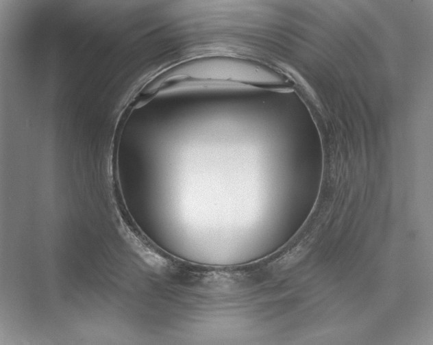 X0000075400938200609251015