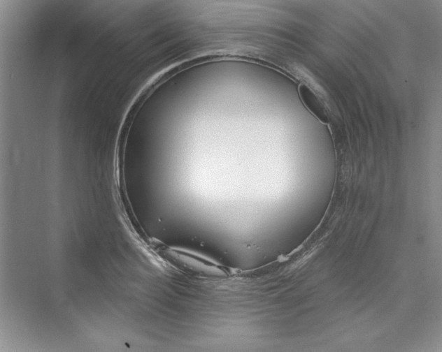 X0000075400940200609251015