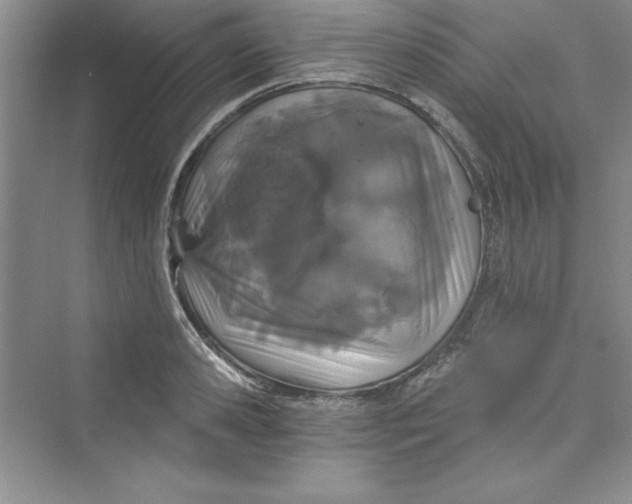 X0000075400941200609251015