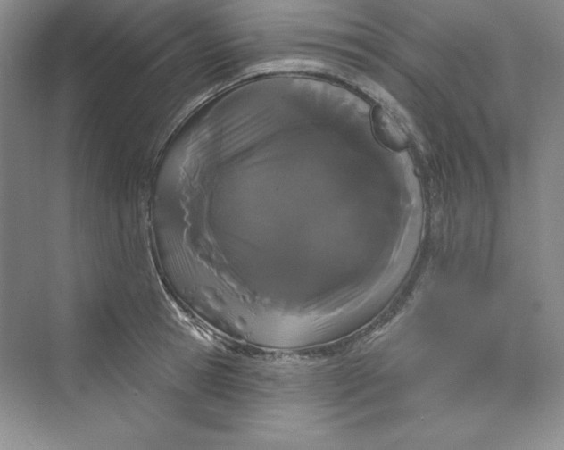 X0000075400945200609251015