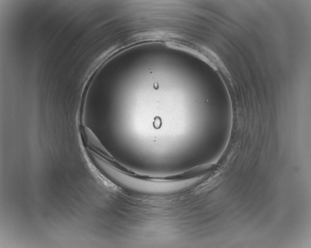 X0000075400946200609251015