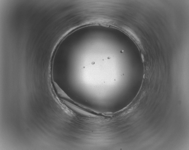 X0000075400948200609251015