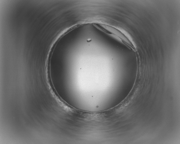 X0000075400949200609251015