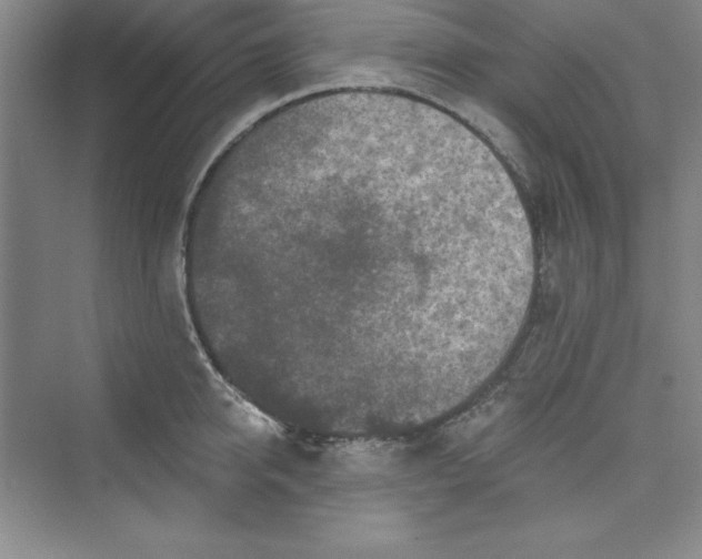 X0000075400950200609251015