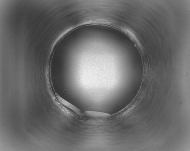 X0000075400952200609251015