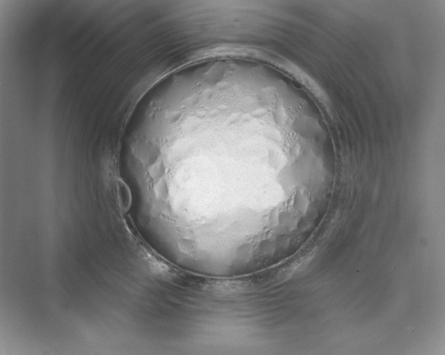 X0000075400953200609251015