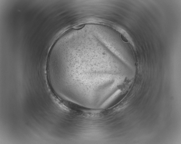 X0000075400954200609251015