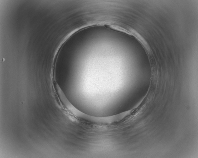 X0000075400956200609251015