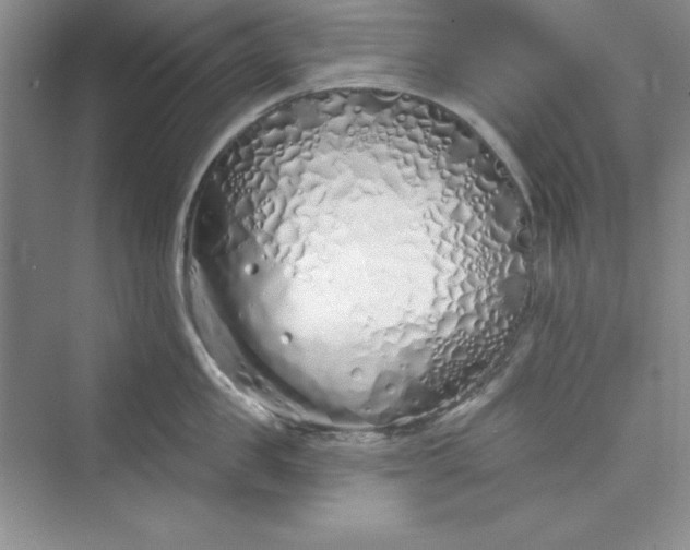 X0000075400957200609251015