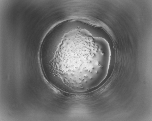 X0000075400958200609251015