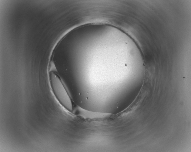 X0000075400959200609251015