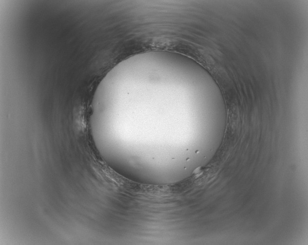 X0000075400962200609251014