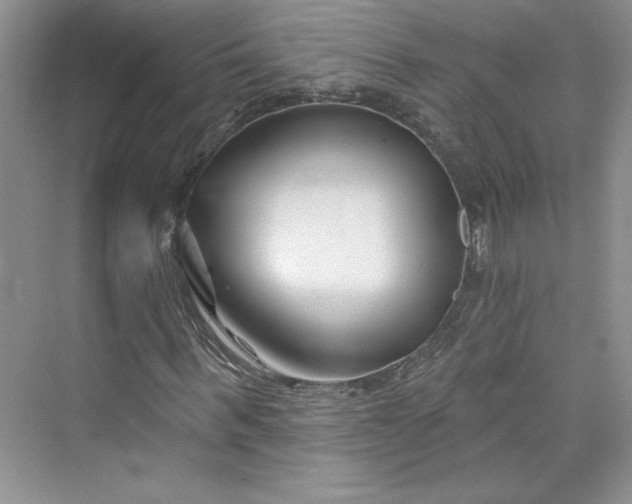 X0000075400963200609251014