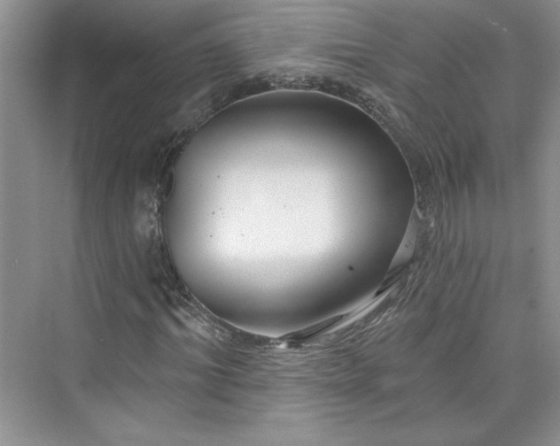 X0000075400964200609251014