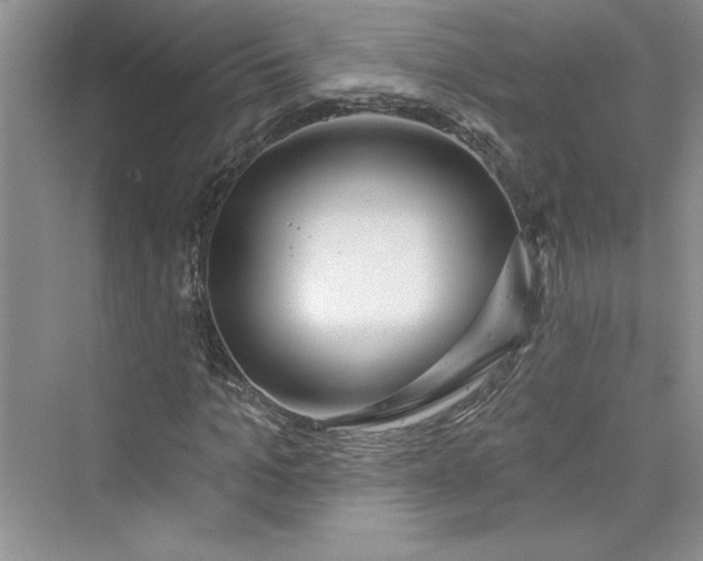 X0000075400965200609251014