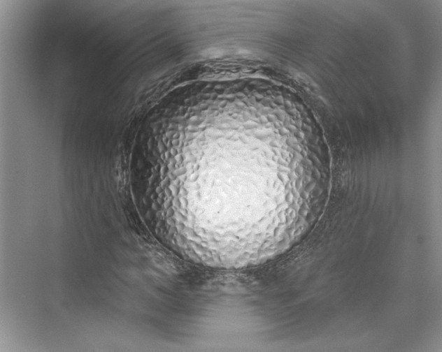 X0000075400966200609251014