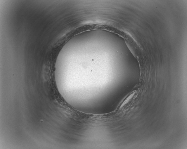 X0000075400967200609251014