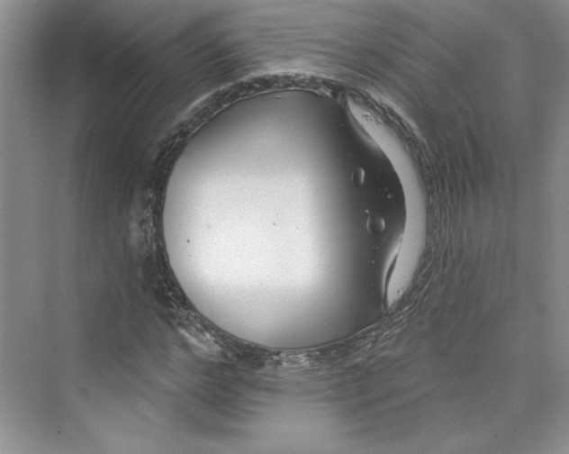 X0000075400968200609251014