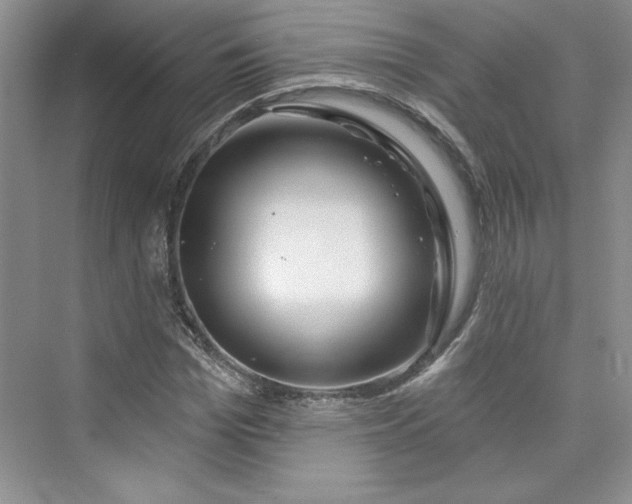 X0000075400969200609251014