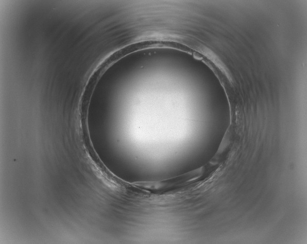 X0000075400972200609251014