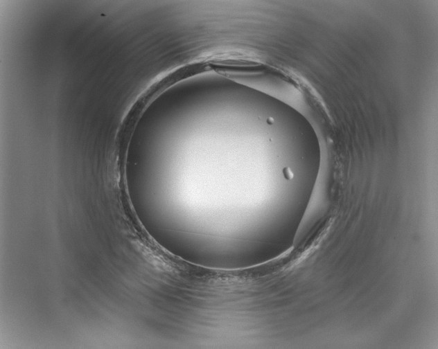 X0000075400973200609251014