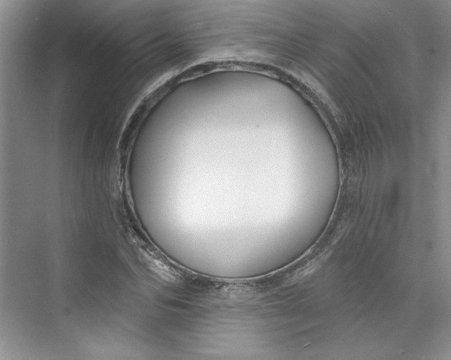 X0000075400974200609251014