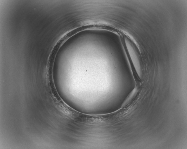 X0000075400975200609251014