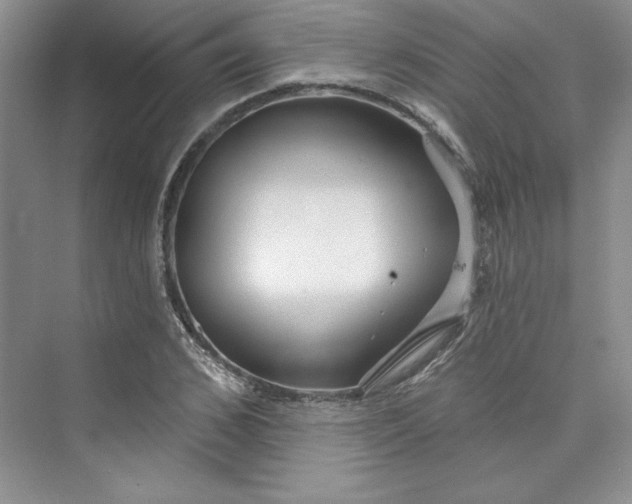 X0000075400976200609251014