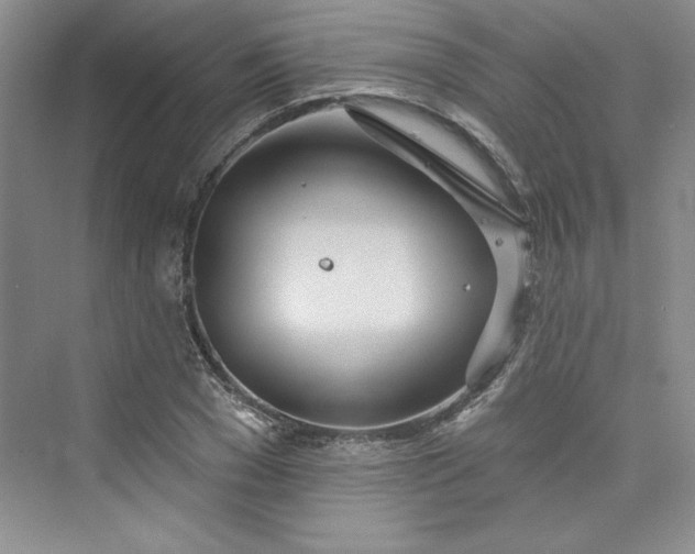 X0000075400977200609251014