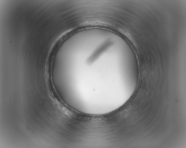 X0000075400979200609251014