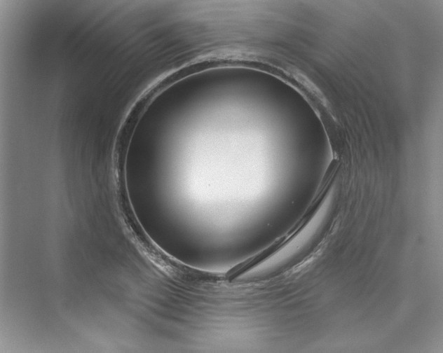 X0000075400981200609251014