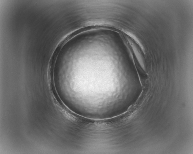 X0000075400983200609251014