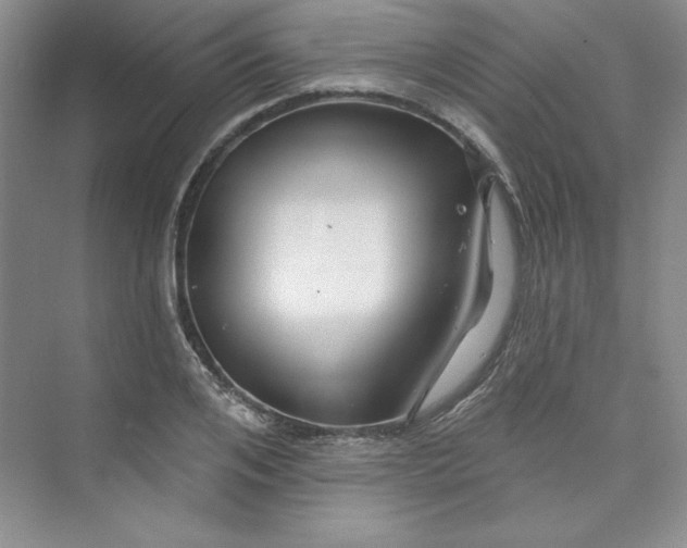 X0000075400984200609251014