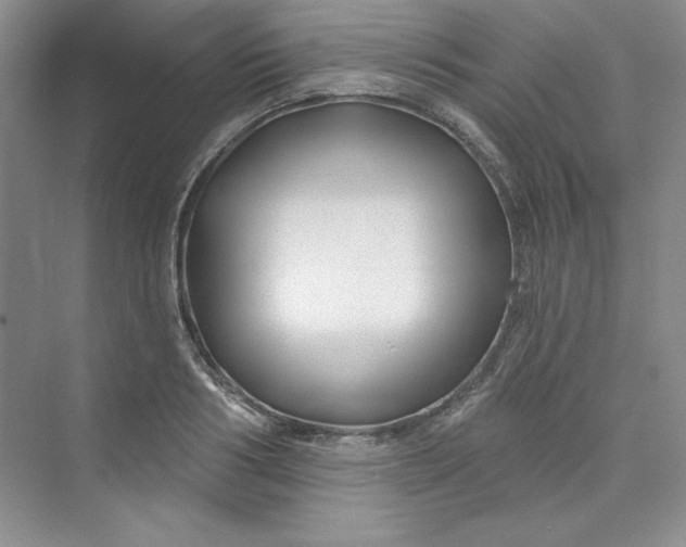 X0000075400986200609251014