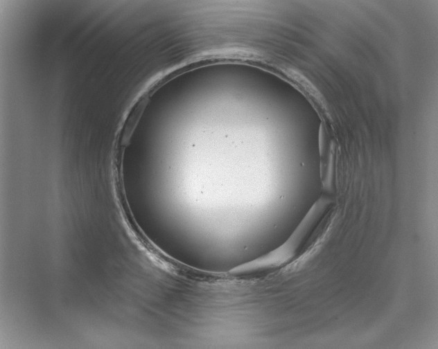 X0000075400989200609251014