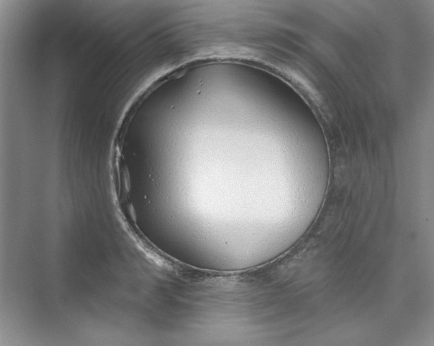 X0000075400990200609251014