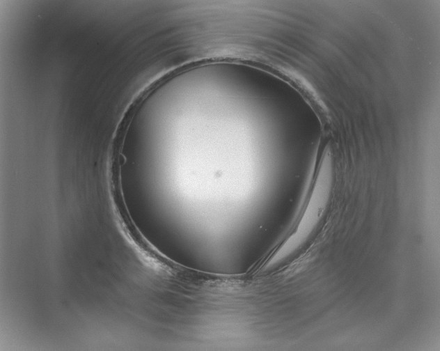 X0000075400991200609251014