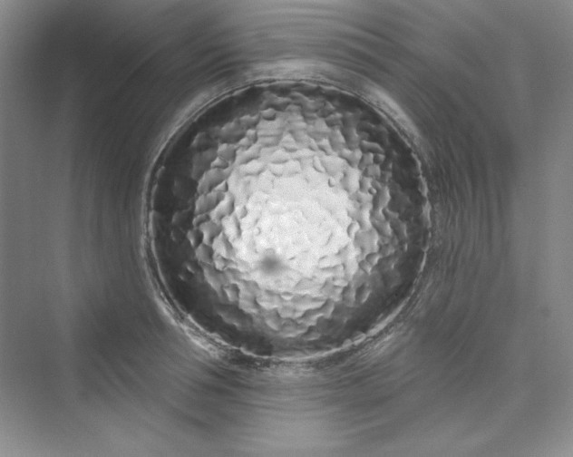 X0000075400994200609251014