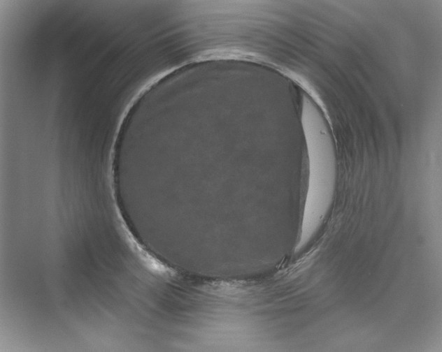 X0000075400995200609251014