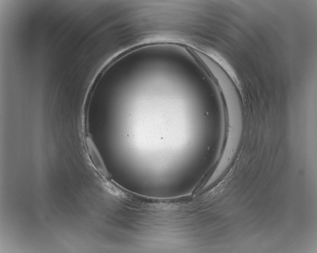 X0000075400996200609251013