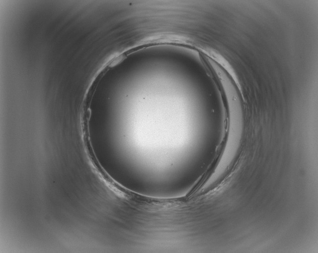 X0000075400997200609251013