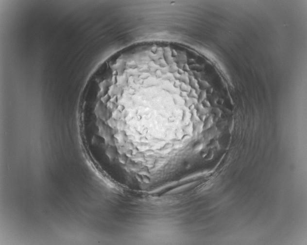 X0000075400998200609251013