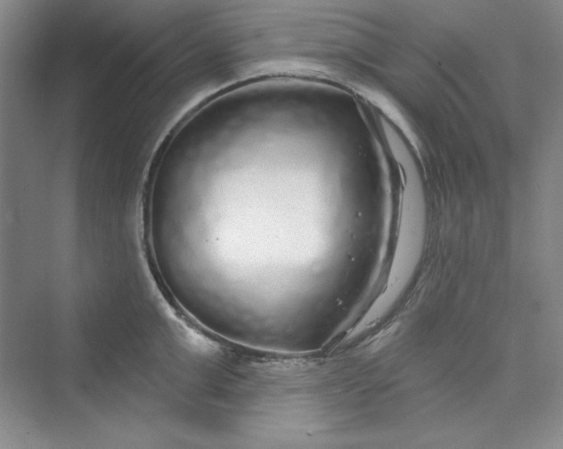 X0000075400999200609251013